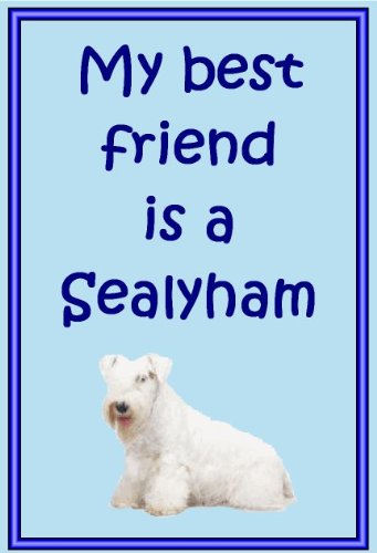 Für Warnschild Sealyham – Neuheit Hund Kühlschrank Magnete – viele Designs erhältlich von magnetsandhangers