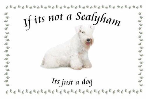 Für Warnschild Sealyham – Neuheit Hund Kühlschrank Magnete – viele Designs erhältlich von magnetsandhangers