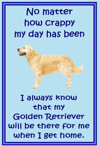 Golden Retriever Neuheit Kühlschrank Magnete – viele Designs erhältlich Golden Retriever Neuheit Kühlschrank Magnete – viele Designs erhältlich von magnetsandhangers
