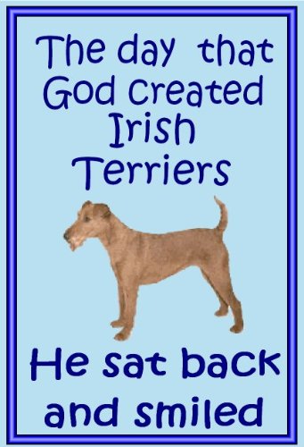 Irish Terrier – Neuheit Hund Kühlschrank Magnete – viele Designs erhältlich von magnetsandhangers