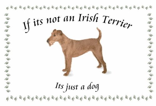 Irish Terrier – Neuheit Hund Kühlschrank Magnete – viele Designs erhältlich von magnetsandhangers