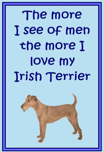 Irish Terrier – Neuheit Hund Kühlschrank Magnete – viele Designs erhältlich von magnetsandhangers
