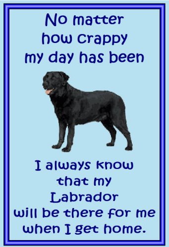 Labrador Retriever Neuheit Kühlschrank Magnete – viele Designs erhältlich Labrador Retriever Neuheit Kühlschrank Magnete – viele Designs erhältlich von magnetsandhangers