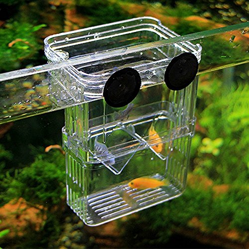 Guppy-Fischbrutstätte/Trennbox für Aquarien, zweiteilig von meiso