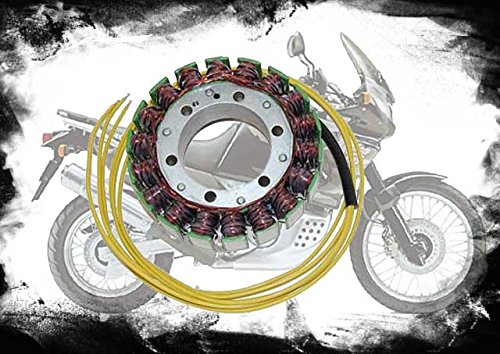 XRV 750 Lichtmaschine Ersatzteil für/kompatibel mit Africa Twin XRV750 RD04 RD07 RD03 Alternator XRV 650 RD03 von MotorsportGoetz