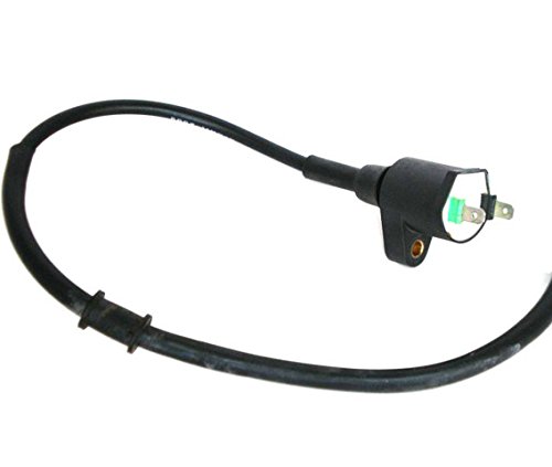 Zündspule Ersatzteil für/kompatibel mit XL350R ND03 XR500 PE03 XR600R PE04 XL250R MD11 XL600R PD03 von Netut