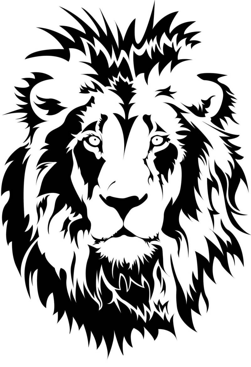 myrockshirt Löwe Lion Löwenkopf 60 x 40 cm Aufkleber Autoaufkleber Sticker Wandtattoo von myrockshirt