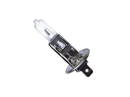 Glühbirnen H1 24V 70W P14,5s Autobirne Glühlampe 2 Stück von myshopx