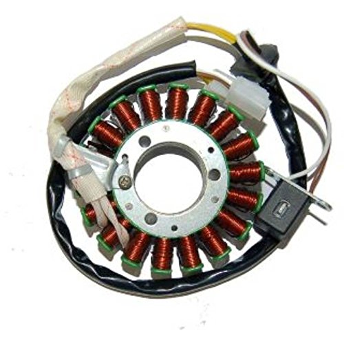 one von Camamoto kompatibel für Stator (18-poliger Magnet Schwungrad Kymco People s 250cc / Gran Dink 250cc / x Citing 250cc / Daelim S2 250cc Ref. Orig. Kymco 00128937 Ref. Orig. Daelim 31120-SZ1-900 von one