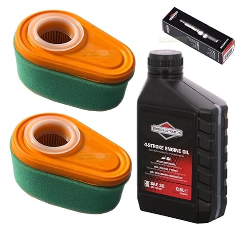 Zündkerze + Filter + Rasenmäheröl kompatibel mit Briggs & Stratton B&S DOV 700 725 750 775 von perfektGarten