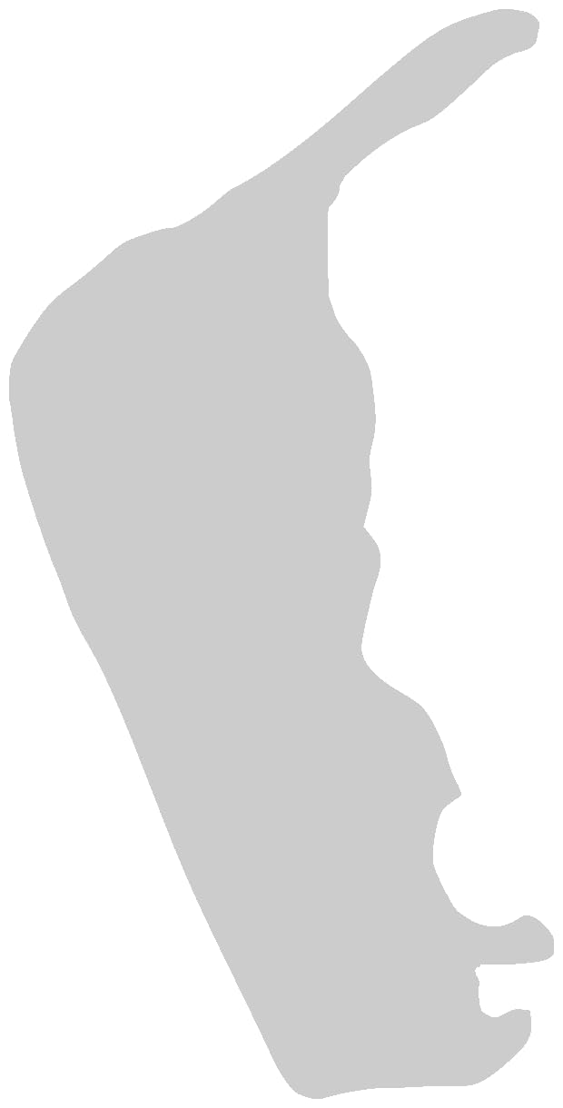 Samunshi® Aufkleber Insel Amrum Autoaufkleber 4 x 8cm silbermetalleffekt von Samunshi