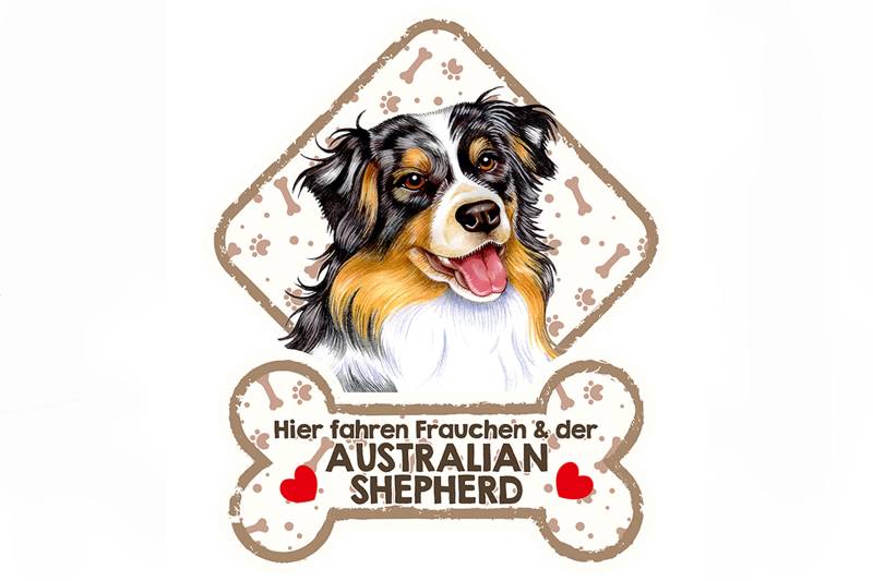power gift - Australian Shepherd - Farbenfrohes Hundeschild für die Autoscheibe mit Saugnäpfen. 02. von power gift