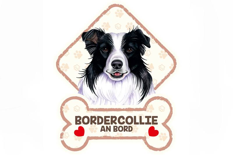 power gift Border Collie - Farbenfrohes Tierschild für Heck oder Seitenscheiben mit Saugnäpfen. Warnschild. Saugnapftafel mit Hunde Abbildung und passenden Text. 07. von power gift