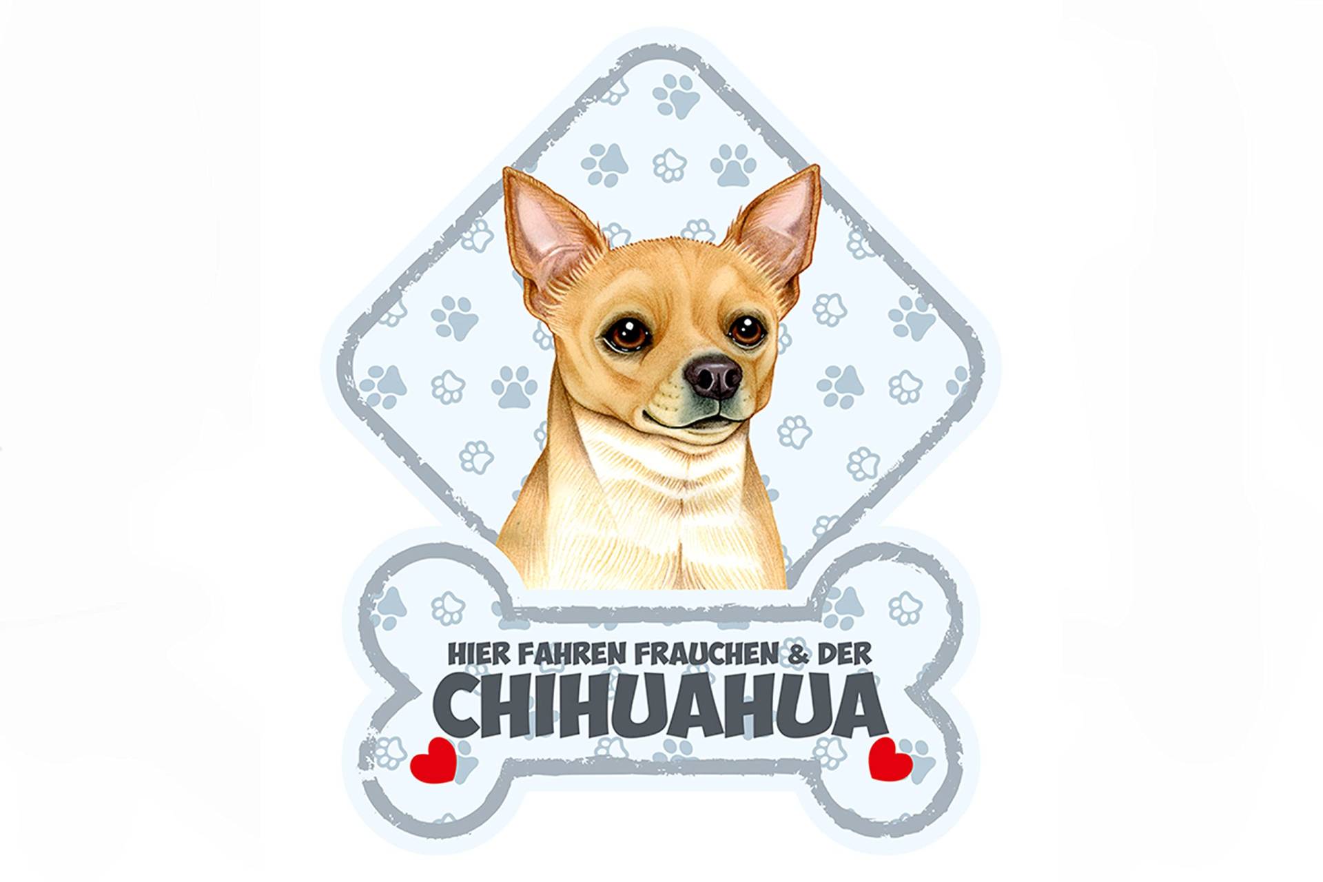power gift - Chihuahua - Farbenfrohes Tierschild für die Autoscheibe mit Saugnäpfen.12. von power gift