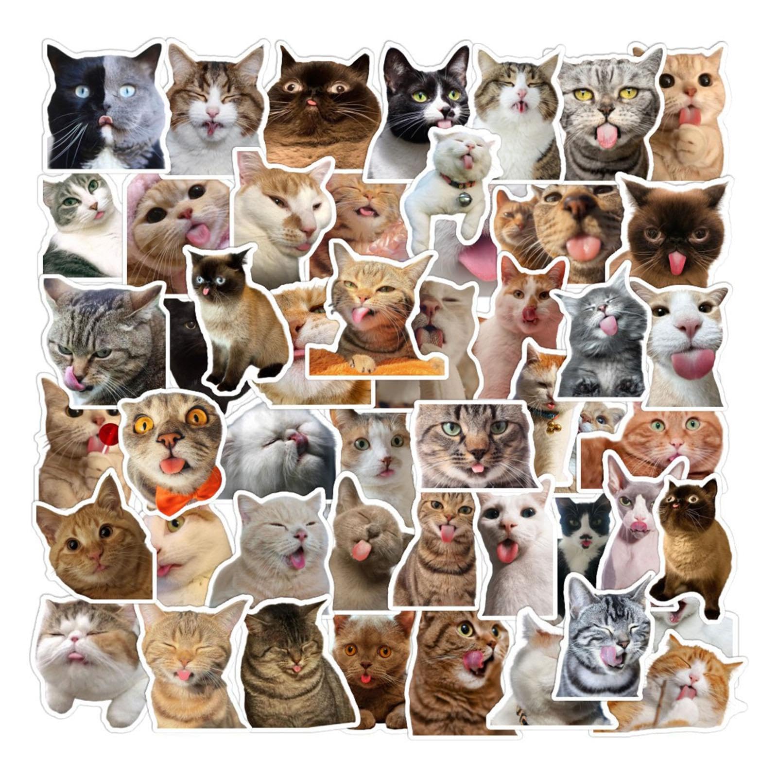 puzzlegame 50 Stück lustige Katzenaufkleber, niedliche wasserfeste Katzenaufkleber, Bezaubernde Katzenaufkleber aus Vinyl, ästhetische Tieraufkleber für Katzenliebhaber, Wasserflaschen-Sammelalbum puzzlegame 50 Stück lustige Katzenaufkleber, niedliche wasserfeste Katzenaufkleber, Bezaubernde Katzenaufkleber aus Vinyl, ästhetische Tieraufkleber für Katzenliebhaber, Wasserflaschen-Sammelalbum von puzzlegame