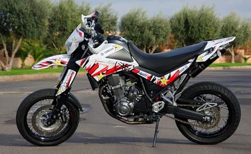 race-styles Aufkleber kompatibel mit Yamaha XT 660 X (2007-14) Premium Factory DEKOR Decals KIT von race-styles