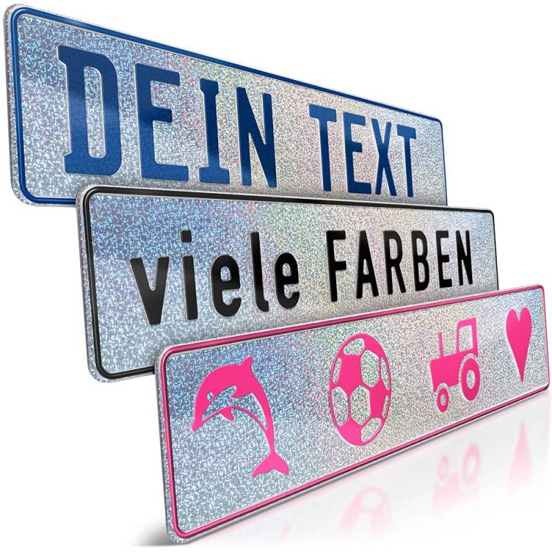 schildEVO 1 Fun-Schild geprägt | Silber Holo Glitzer mit Wunschtext bis zu 16 Zeichen | Aluminium Namensschild | Individuelles Fun-Kennzeichen | Bohrlöcher & Saugnäpfe von schildEVO