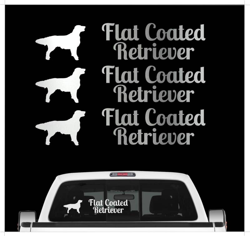 Flat Coated Retriever Flattie - 3er Set Auto Aufkleber Autoaufkleber Hundemotiv Hundeaufkleber autoaufkleber Hund Folie Aufkleber Silber von siviwonder