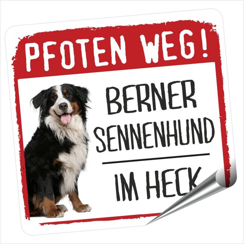 siviwonder Aufkleber Berner Sennenhund im Heck – 9x8 cm Reflektierender Autoaufkleber Kleiner Auto Aufkleber Hundeaufkleber Sticker wetterfest und selbstklebend von siviwonder