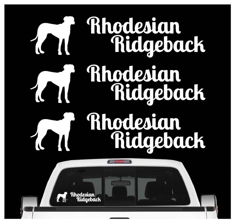 siviwonder Rhodesian Ridgeback RR Aufkleber 3er Set Hundeaufkleber Hundemotiv Hund Folie Farbe Weiss, Größe 20cm von siviwonder