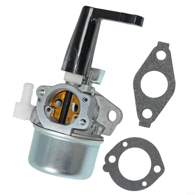 Snowchecking Motorvergaser-Kit für 110402-0206-E1 110412-0211-E1 215369 5HP 5,5 PS 6 PS Motoren, einfach zu installieren von snowchecking