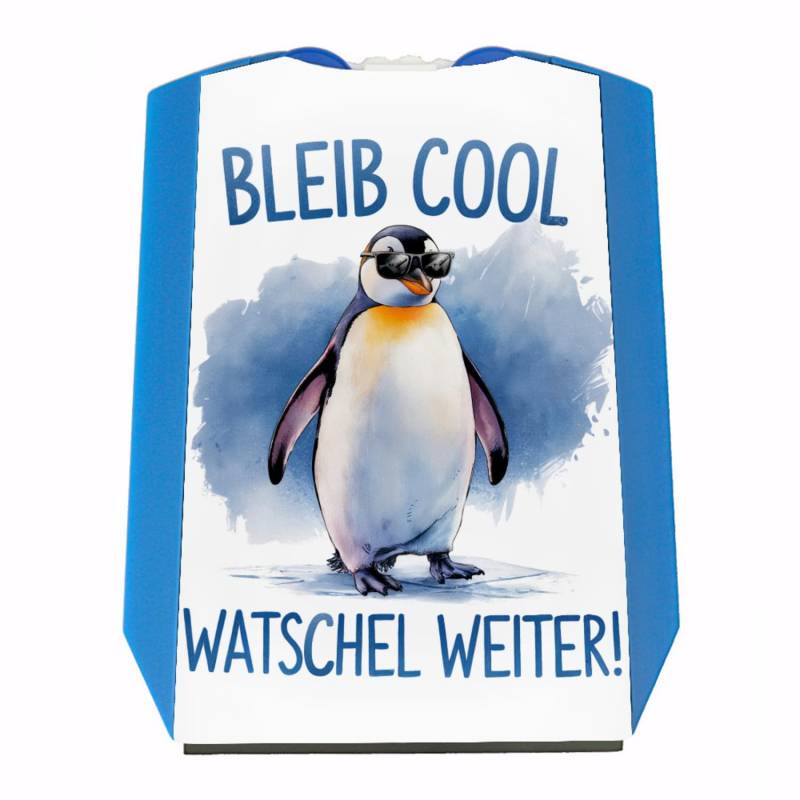 Pinguin mit Sonnenbrille Bleib cool Parkscheibe Lustiger Eiskratzer mit Spruch für Autofahrer von speecheese