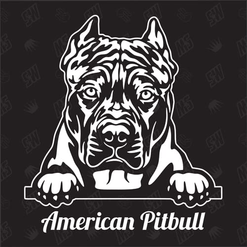 American Pitbull Version 2 - Sticker, Aufkleber, Hundeaufkleber, Autoaufkleber, Hund, Auto, Hunderassen, Mischling, Mix, Tiere, Haustier (AUCH MIT Wunschname MÖGLICH) von speedwerk-motorwear