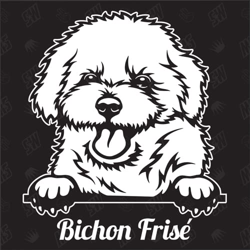 Bichon Frisé Version 1 - Sticker, Aufkleber, Hundeaufkleber, Autoaufkleber, Hund, Auto, Hunderassen, Mischling, Mix, Tiere, Haustier (AUCH MIT Wunschname MÖGLICH) von speedwerk-motorwear