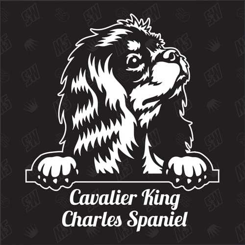 Cavalier King Charles Spaniel Version 2 - Sticker, Aufkleber, Hundeaufkleber, Autoaufkleber, Hund, Auto, Hunderassen, Mischling, Mix, Tiere, Haustier (AUCH MIT Wunschname MÖGLICH) von speedwerk-motorwear