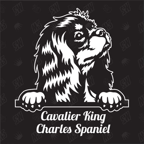 Cavalier King Charles Spaniel Version 2 - Sticker, Aufkleber, Hundeaufkleber, Autoaufkleber, Hund, Auto, Hunderassen, Mischling, Mix, Tiere, Haustier (AUCH MIT Wunschname MÖGLICH) von speedwerk-motorwear