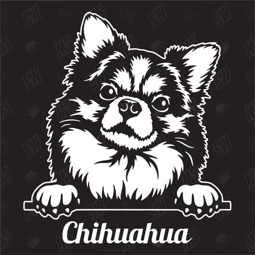 Chihuahua Version 11 - Sticker, Aufkleber, Hundeaufkleber, Autoaufkleber, Hund, Auto, Hunderassen, Mischling, Mix, Tiere, Haustier (AUCH MIT Wunschname MÖGLICH) von speedwerk-motorwear