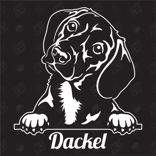 Dackel Dachshund Version 4 - Sticker, Aufkleber, Hundeaufkleber, Autoaufkleber, Hund, Auto, Hunderassen, Mischling, Mix, Tiere, Haustier (AUCH MIT Wunschname MÖGLICH) von speedwerk-motorwear