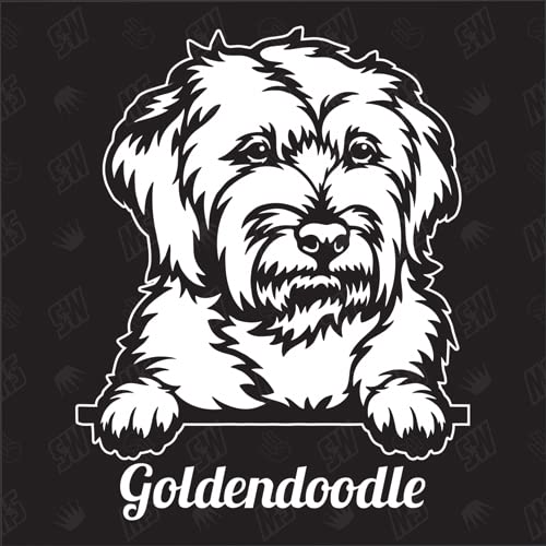 Goldendoodle Version 2 - Sticker, Aufkleber, Hundeaufkleber, Autoaufkleber, Hund, Auto, Hunderassen, Mischling, Mix, Tiere, Haustier (AUCH MIT Wunschname MÖGLICH) von speedwerk-motorwear