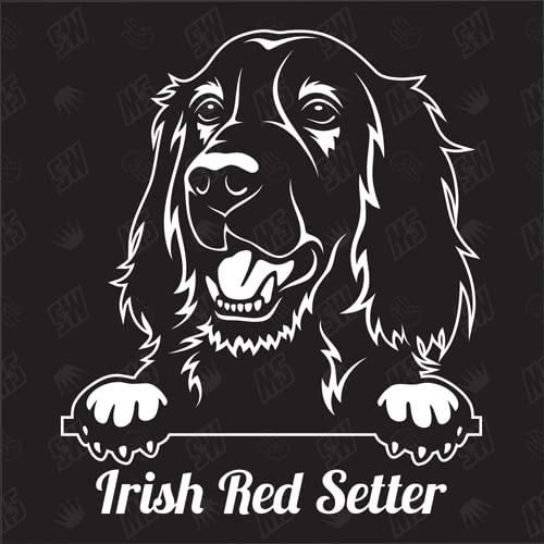 Irish Red Setter Version 1 - Sticker, Aufkleber, Hundeaufkleber, Autoaufkleber, Hund, Auto, Hunderassen, Mischling, Mix, Tiere, Haustier (AUCH MIT Wunschname MÖGLICH) von speedwerk-motorwear