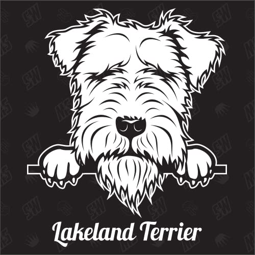Lakeland Terrier Version 1 - Sticker, Hundeaufkleber, Autoaufkleber, Hund, Auto, Hunderassen, Aufkleber, Mischling, Mix, Tiere, Haustier (AUCH MIT Wunschname MÖGLICH) von speedwerk-motorwear