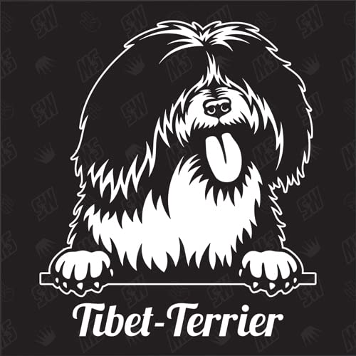 Tibet -Terrier Version 1 - Sticker, Tibetan, Aufkleber, Hundeaufkleber, Autoaufkleber, Hund, Auto, Hunderassen, Mischling, Mix, Tiere, Haustier (AUCH MIT Wunschname MÖGLICH) von speedwerk-motorwear