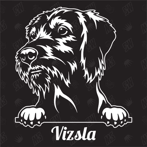 Vizsla Version 1 - Sticker, Aufkleber, Hundeaufkleber, Autoaufkleber, Hund, Auto, Hunderassen, Mischling, Mix, Tiere, Haustier (AUCH MIT Wunschname MÖGLICH) von speedwerk-motorwear