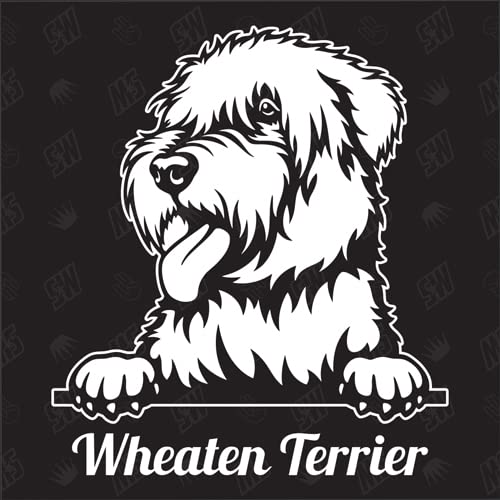 Wheaten Terrier Version 1 - Sticker, Aufkleber, Hundeaufkleber, Autoaufkleber, Hund, Auto, Hunderassen, Mischling, Mix, Tiere, Haustier (AUCH MIT Wunschname MÖGLICH) von speedwerk-motorwear