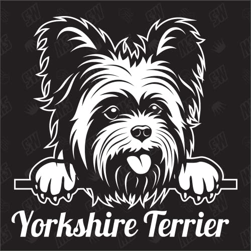 Yorkshire Terrier Version 2 - Sticker, Hundeaufkleber, Autoaufkleber, Hund, Auto, Hunderassen, Aufkleber, Mischling, Mix, Tiere, Haustier (AUCH MIT Wunschname MÖGLICH) von speedwerk-motorwear