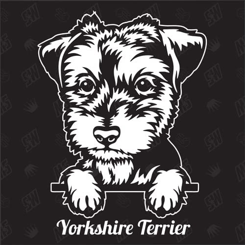 Yorkshire Terrier Version 4 - Sticker, Hundeaufkleber, Autoaufkleber, Hund, Auto, Hunderassen, Aufkleber, Mischling, Mix, Tiere, Haustier (AUCH MIT Wunschname MÖGLICH) von speedwerk-motorwear