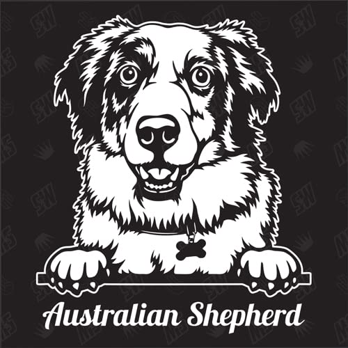 speedwerk-motorwear Australian Shepherd Version 3 - Sticker, Aufkleber, Hundeaufkleber, Autoaufkleber, Hund, Auto, Hunderassen, Mischling, Mix, Tiere, Haustier (AUCH MIT Wunschname MÖGLICH) von speedwerk-motorwear