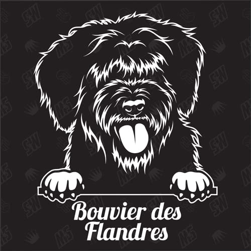 speedwerk-motorwear Bouvier des Flandres Version 1 - Sticker, Aufkleber, Hundeaufkleber, Autoaufkleber, Hund, Auto, Hunderassen, Mischling, Mix, Tiere, Haustier (AUCH MIT Wunschname MÖGLICH) von speedwerk-motorwear