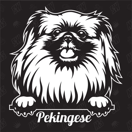 speedwerk-motorwear Pekingese Version 1 - Sticker, Aufkleber, Hundeaufkleber, Autoaufkleber, Hund, Auto, Hunderassen, Mischling, Mix, Tiere, Haustier (AUCH MIT Wunschname MÖGLICH) von speedwerk-motorwear