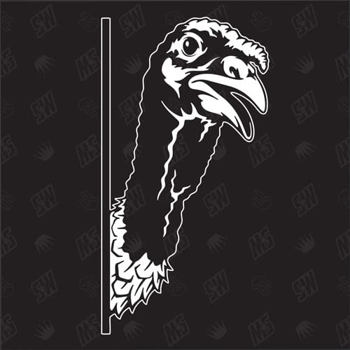 speedwerk-motorwear Truthahn Version 1 - Aufkleber, Autoaufkleber, Sticker, Pute, Henne, Huhn, Geflügel, Hahn, Bauernhof, Tiere, Farmanimals, Farmtiere (AUCH MIT Wunschname MÖGLICH) von speedwerk-motorwear