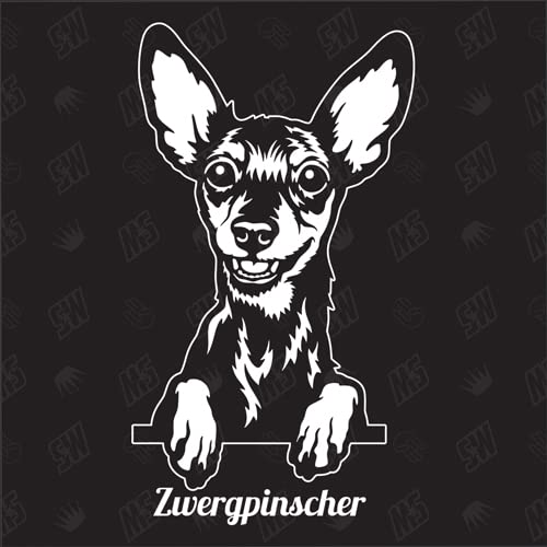 Zwergpinscher Version 1 - Sticker, Aufkleber, Hundeaufkleber, Autoaufkleber, Hund, Auto, Hunderassen, Mischling, Mix, Tiere, Haustier (AUCH MIT Wunschname MÖGLICH) von speedwerk-motorwear