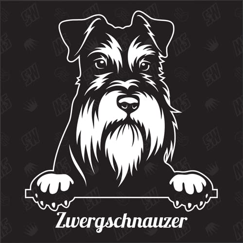 speedwerk-motorwear Zwergschnauzer Version 2 - Sticker, Aufkleber, Hundeaufkleber, Autoaufkleber, Hund, Auto, Hunderassen, Mischling, Mix, Tiere, Haustier (AUCH MIT Wunschname MÖGLICH) von speedwerk-motorwear