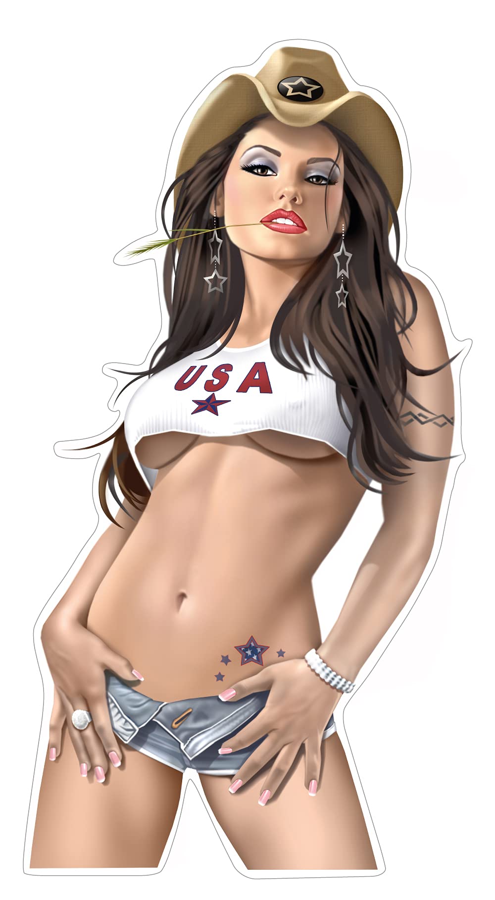 Pinup Aufkleber Miss USA Cowgirl Sticker ca. 18x9 cm Retro Autoaufkleber von sticker-dealer