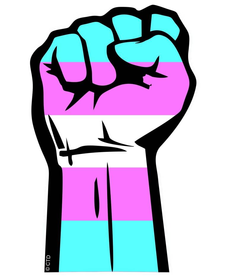 Solidaritätsfaust Protest Hand March Motiv mit LGBT LGBTQ+ Transgender Trans Pride Flagge Vinyl Autoaufkleber Aufkleber 132 x 82 mm von sticker licker