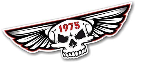 sticker licker Gothic Totenkopf mit Flügeln Jahr Vom 1975 Retro Cafe Racer Biker Vinyl Auto Aufkleber 125x40mm von sticker licker