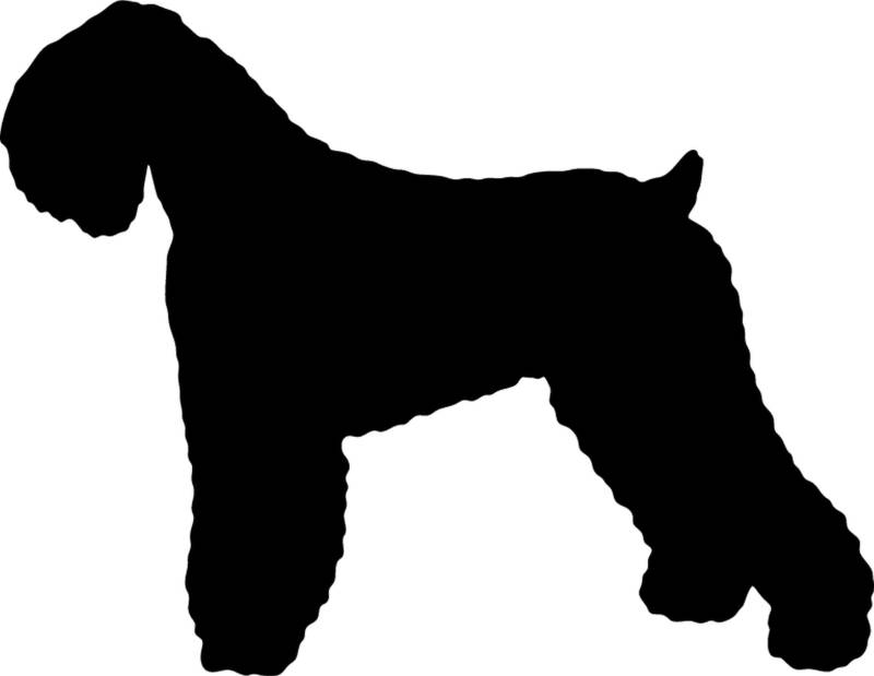 Schwarzer russischer Terrier - Hundeaufkleber - Farbe und Umrandung oder Text wählbar - Dog Sticker von teddyfamily